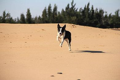 虚幻5重制《战神2》粉丝概念视频 奎爷更霸气了